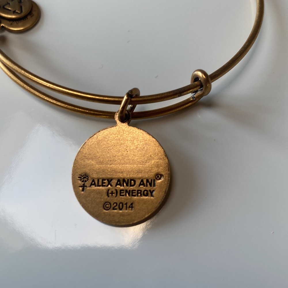 Alex And Ani "R" Initial Expandable Wire Bangle B… - image 4